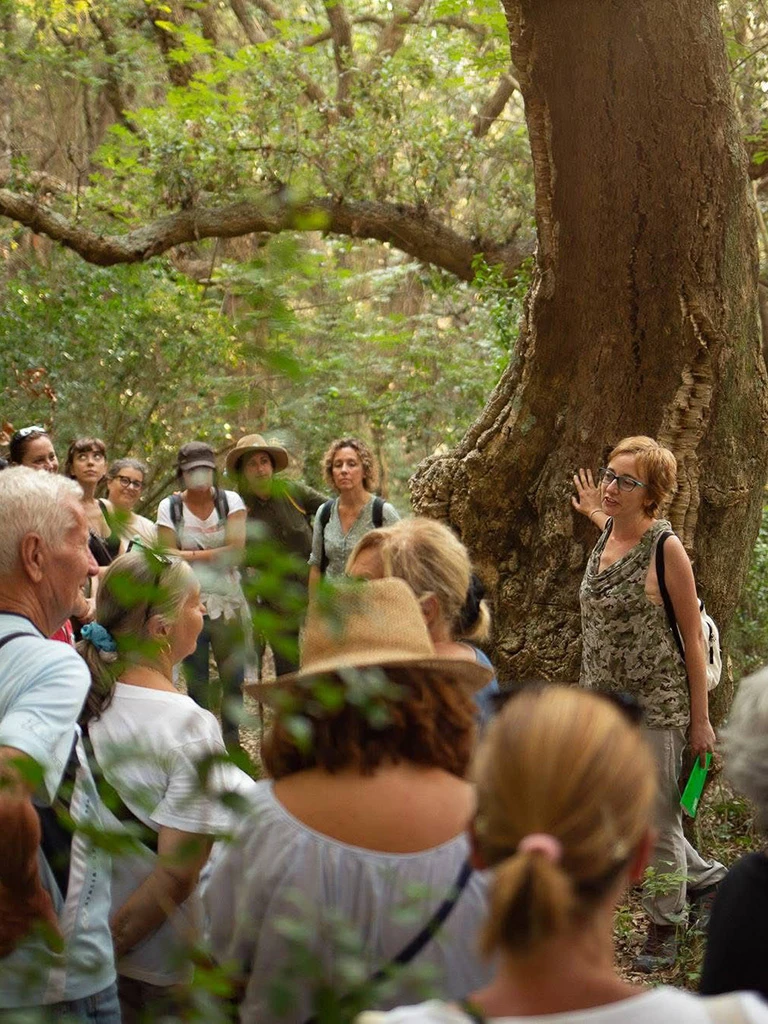 stone-outdoor-alimurgia_02