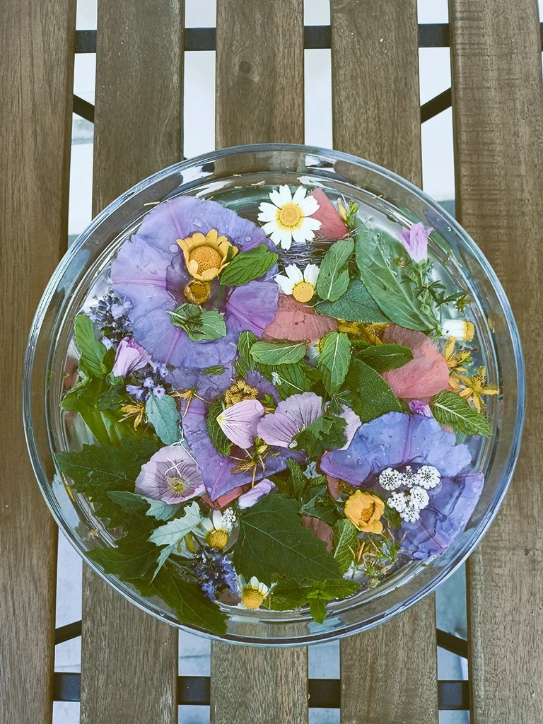 stone-outdoor-alimurgia_05