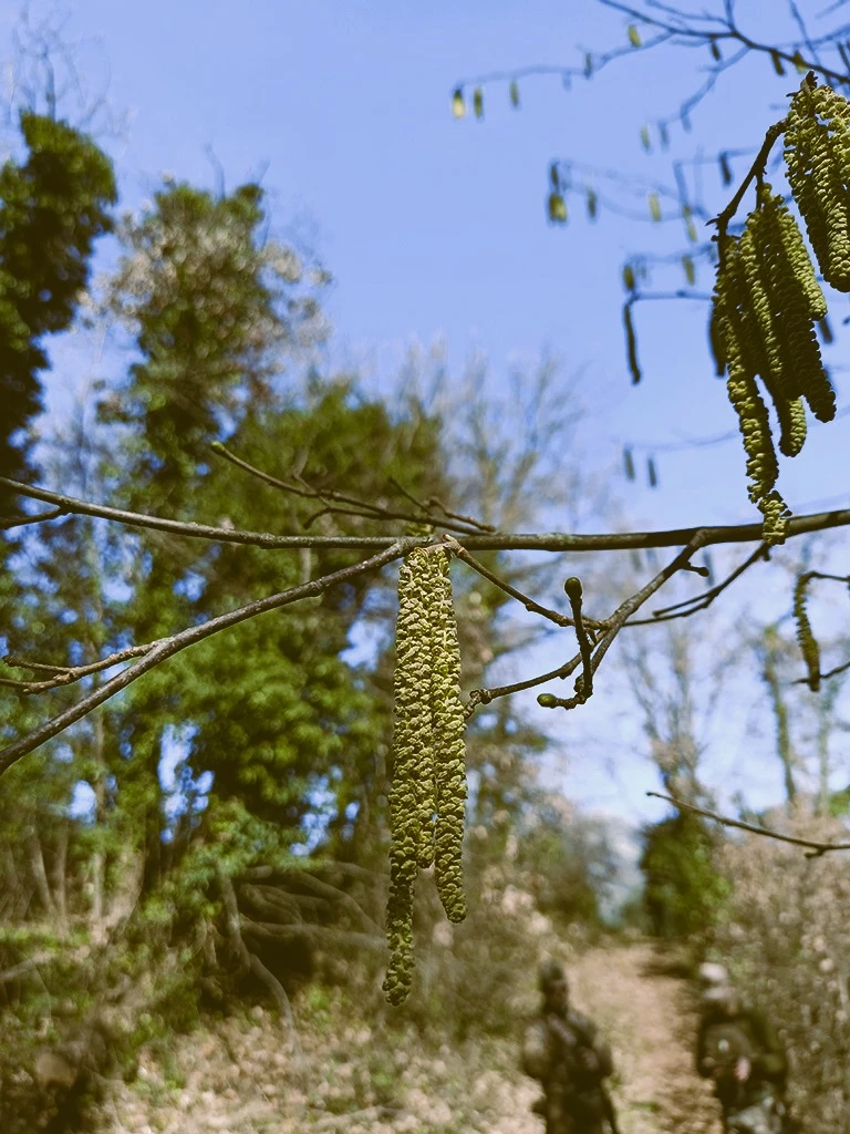 stone-outdoor-alimurgia_07