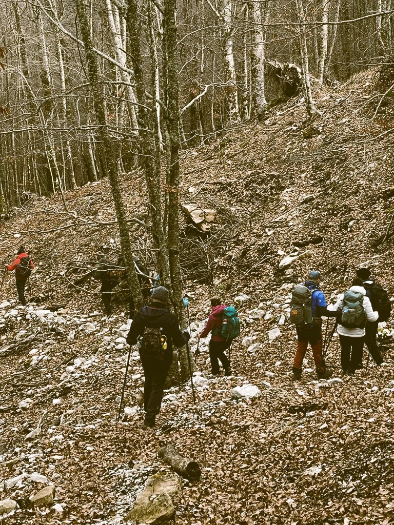 stone-wild-trekking-06