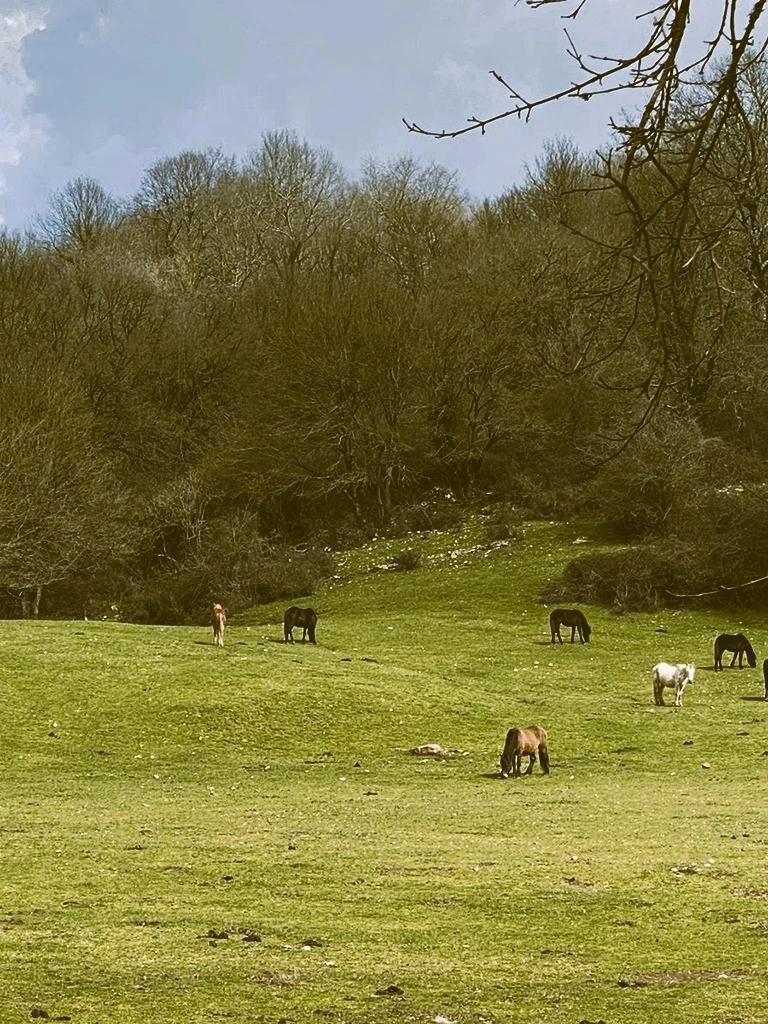 stone-wild-trekking-07