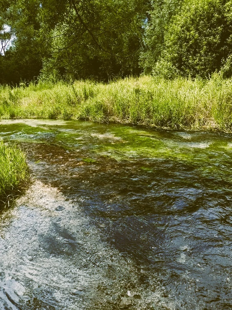 stone-mainfulness-natura-05