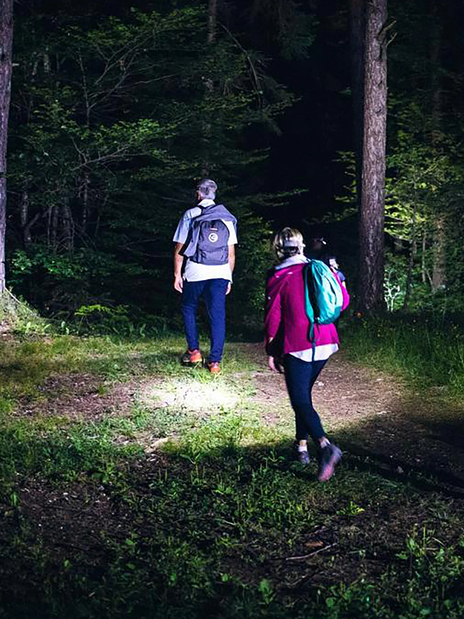 stone corso bosco di notte 04