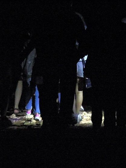 stone corso bosco di notte 07