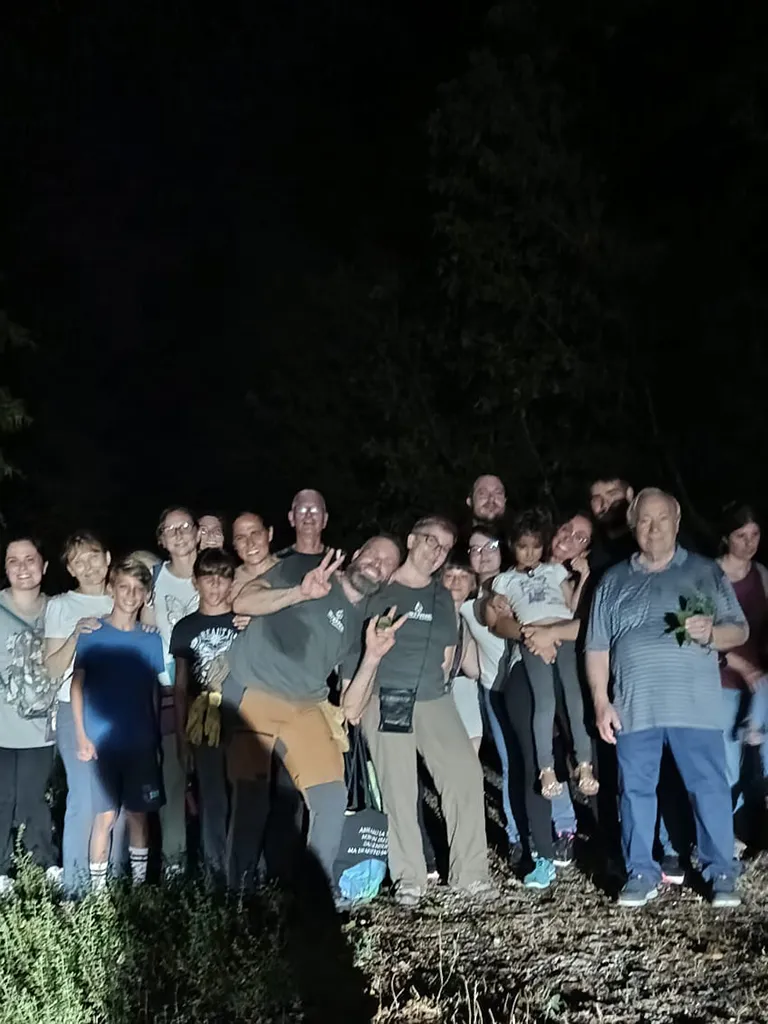stone bosco di notte 02