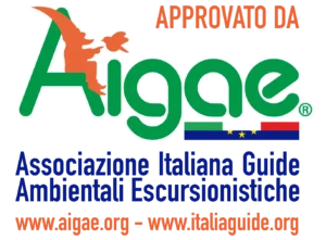 logo aigae approvato da per fondo chiaro alta ris