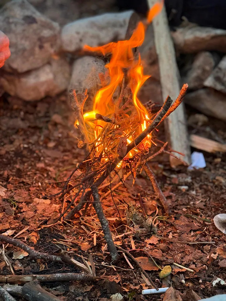 stone survival experience 04